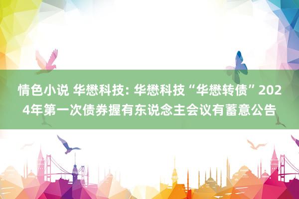 情色小说 华懋科技: 华懋科技“华懋转债”2024年第一次债券握有东说念主会议有蓄意公告