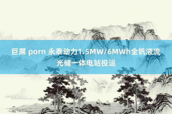 巨屌 porn 永泰动力1.5MW/6MWh全钒液流光储一体电站投运
