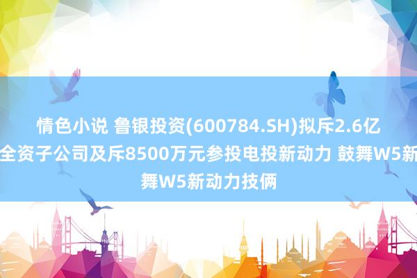 情色小说 鲁银投资(600784.SH)拟斥2.6亿元投设资全资子公司及斥8500万元参投电投新动力 鼓舞W5新动力技俩