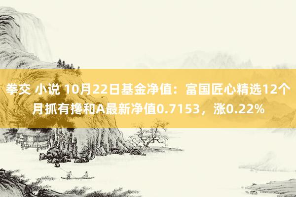 拳交 小说 10月22日基金净值：富国匠心精选12个月抓有搀和A最新净值0.7153，涨0.22%