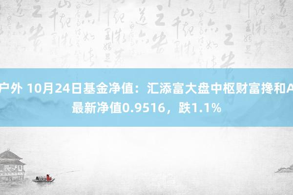 户外 10月24日基金净值：汇添富大盘中枢财富搀和A最新净值0.9516，跌1.1%