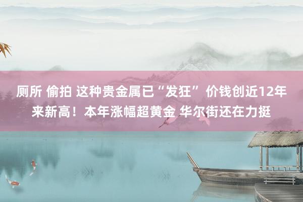 厕所 偷拍 这种贵金属已“发狂” 价钱创近12年来新高！本年涨幅超黄金 华尔街还在力挺