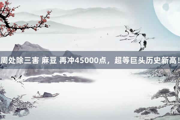周处除三害 麻豆 再冲45000点，超等巨头历史新高！