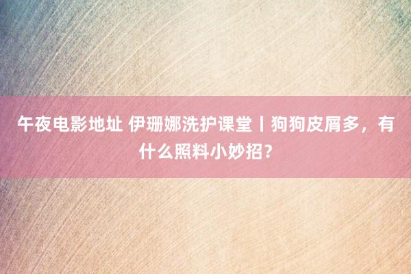 午夜电影地址 伊珊娜洗护课堂丨狗狗皮屑多，有什么照料小妙招？