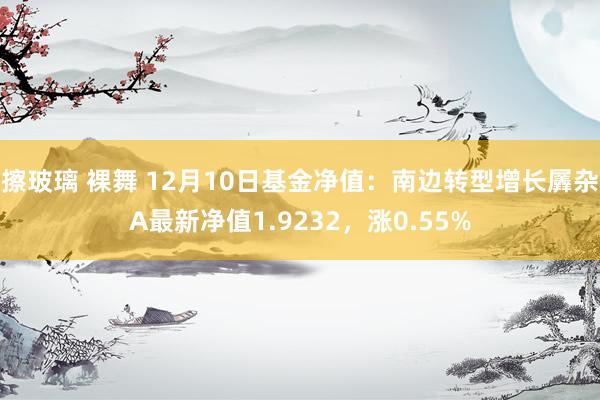 擦玻璃 裸舞 12月10日基金净值：南边转型增长羼杂A最新净值1.9232，涨0.55%
