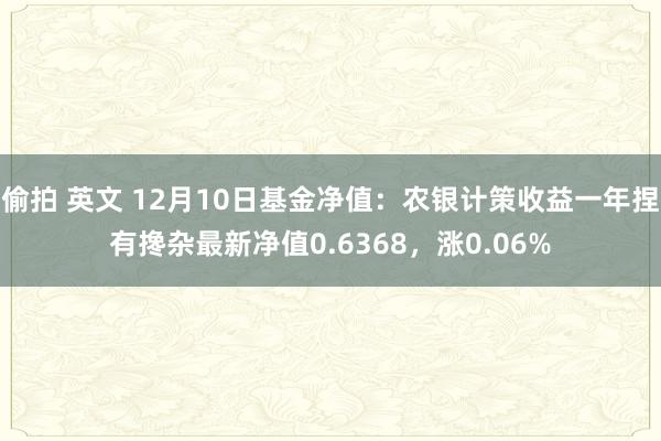 偷拍 英文 12月10日基金净值：农银计策收益一年捏有搀杂最新净值0.6368，涨0.06%