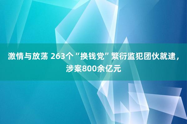 激情与放荡 263个“换钱党”繁衍监犯团伙就逮，涉案800余亿元