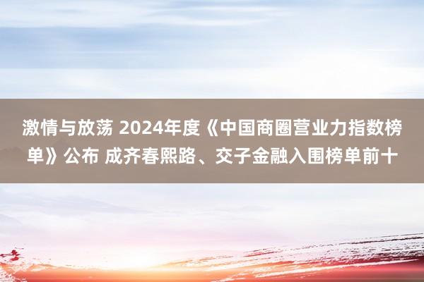 激情与放荡 2024年度《中国商圈营业力指数榜单》公布 成齐春熙路、交子金融入围榜单前十