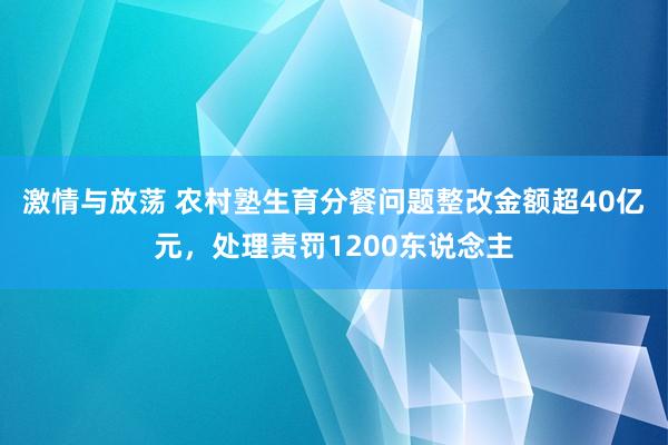 激情与放荡 农村塾生育分餐问题整改金额超40亿元，处理责罚1200东说念主