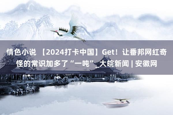 情色小说 【2024打卡中国】Get！让番邦网红奇怪的常识加多了“一吨”_大皖新闻 | 安徽网