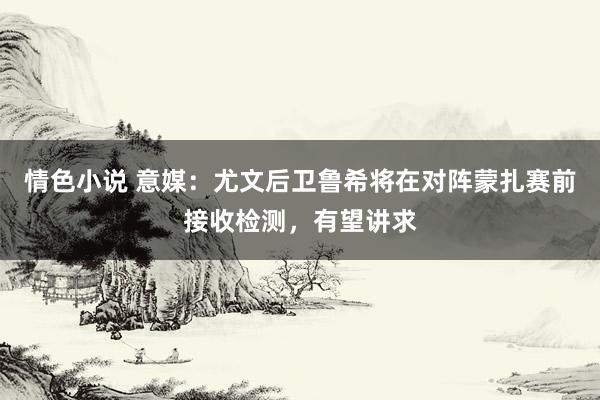 情色小说 意媒：尤文后卫鲁希将在对阵蒙扎赛前接收检测，有望讲求