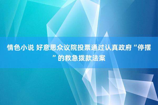 情色小说 好意思众议院投票通过认真政府“停摆”的救急拨款法案