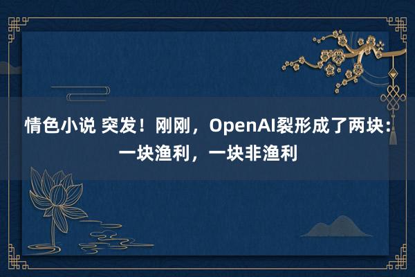 情色小说 突发！刚刚，OpenAI裂形成了两块：一块渔利，一块非渔利