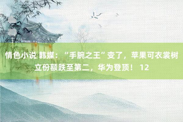 情色小说 韩媒：“手腕之王”变了，苹果可衣裳树立份额跌至第二，华为登顶！ 12