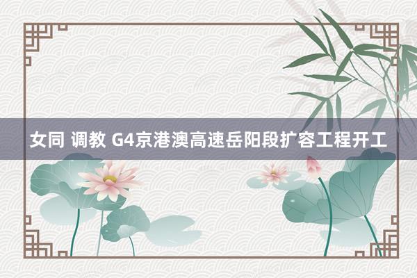 女同 调教 G4京港澳高速岳阳段扩容工程开工