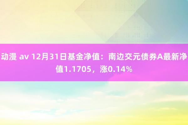 动漫 av 12月31日基金净值：南边交元债券A最新净值1.1705，涨0.14%