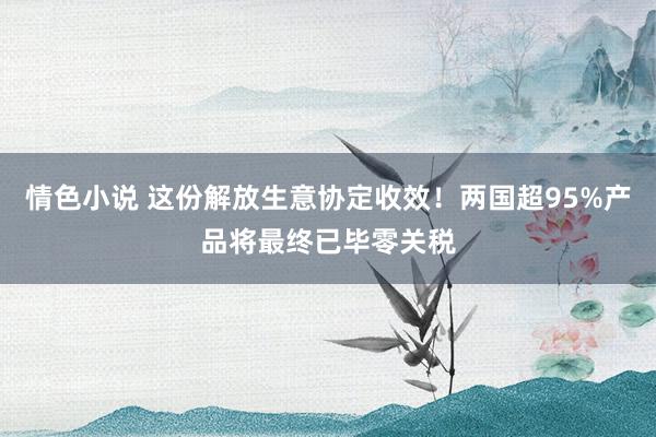 情色小说 这份解放生意协定收效！两国超95%产品将最终已毕零关税