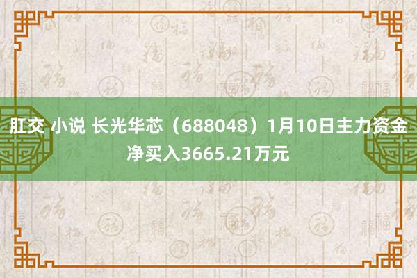 肛交 小说 长光华芯（688048）1月10日主力资金净买入3665.21万元
