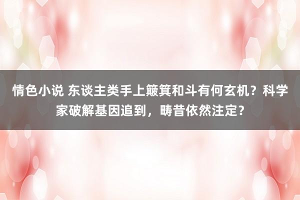 情色小说 东谈主类手上簸箕和斗有何玄机？科学家破解基因追到，畴昔依然注定？