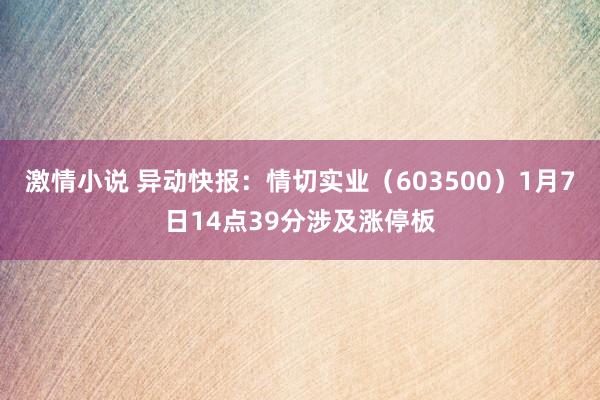激情小说 异动快报：情切实业（603500）1月7日14点39分涉及涨停板
