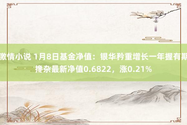 激情小说 1月8日基金净值：银华矜重增长一年握有期搀杂最新净值0.6822，涨0.21%